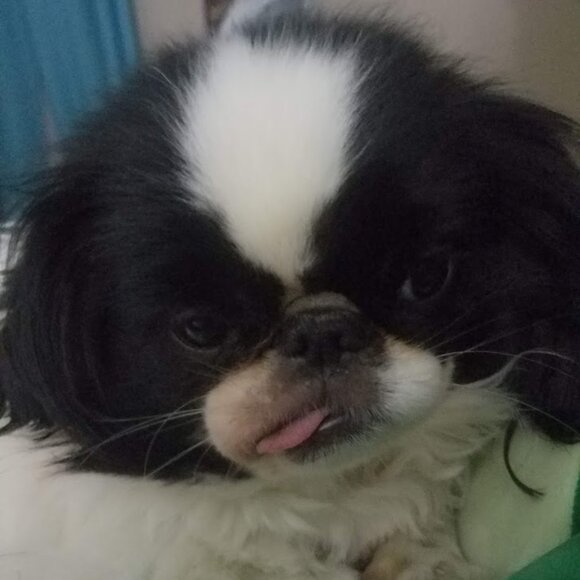 Meet your Posher, Kayla - Picture 7 of 9